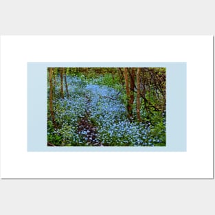 Forest Forget-Me-Nots Posters and Art